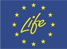 Life logo